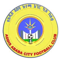 አዲስአበባ ከተማ