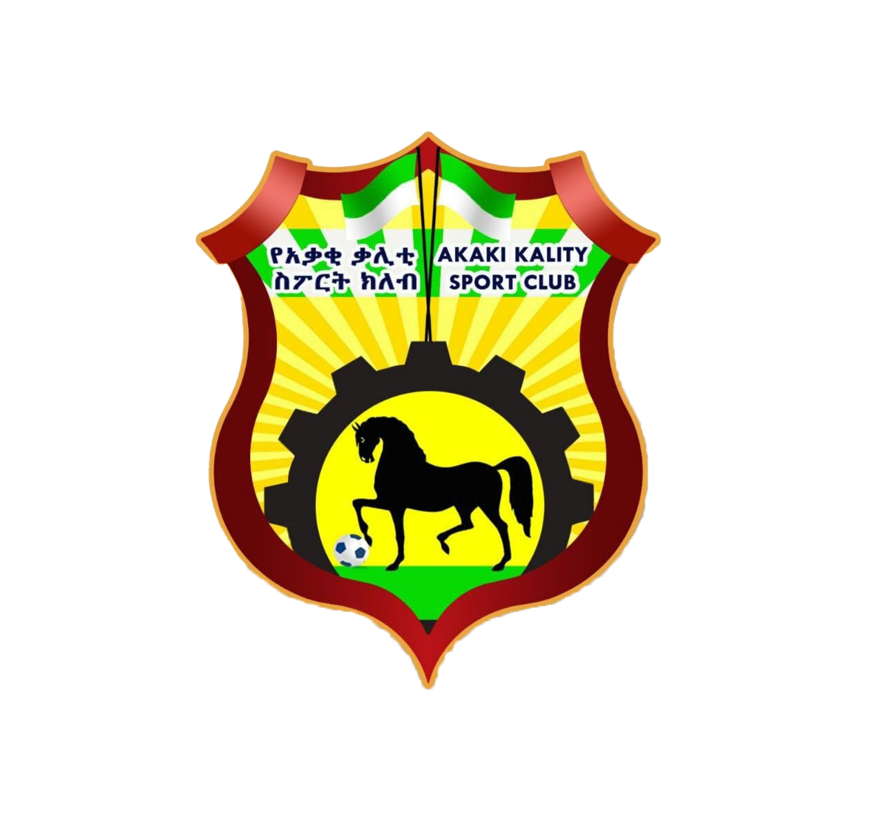 አቃቂ ቃሊቲ ክፍለ ከተማ