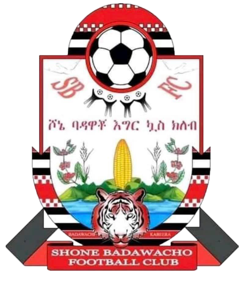 ሾኔ ከተማ